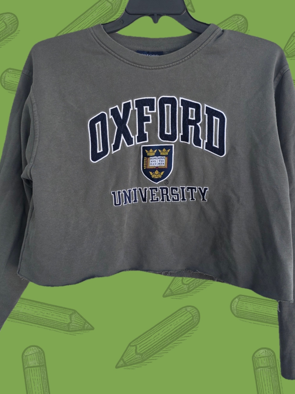 Oxford Cropped Crewneck Sweatshirt in Gray